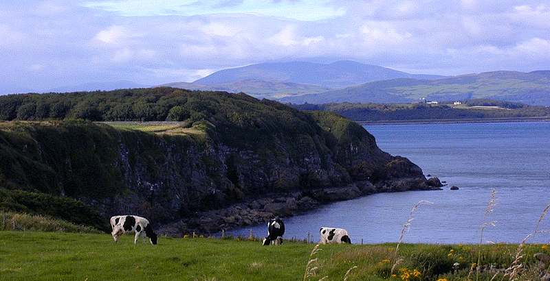 holiday home Scotland